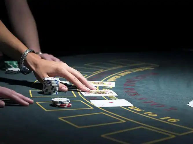 775 bet app 775 bet app